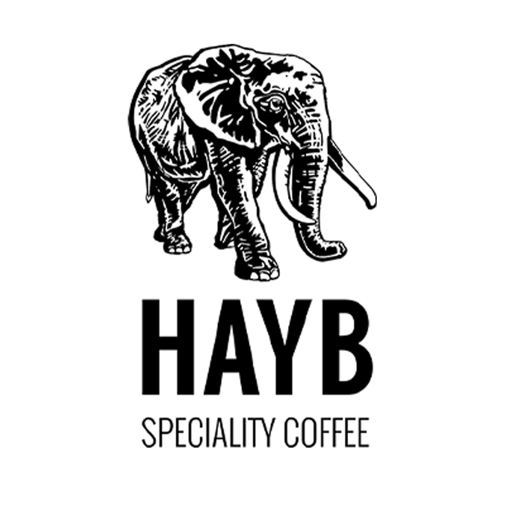 logo hayb