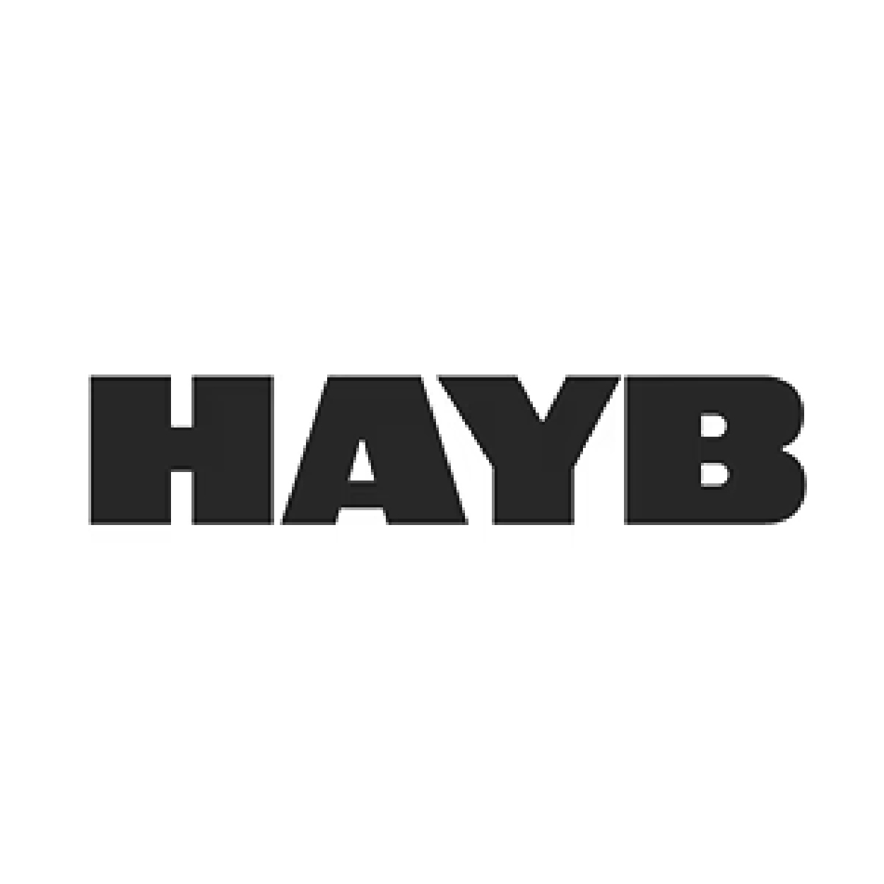 logo hayb