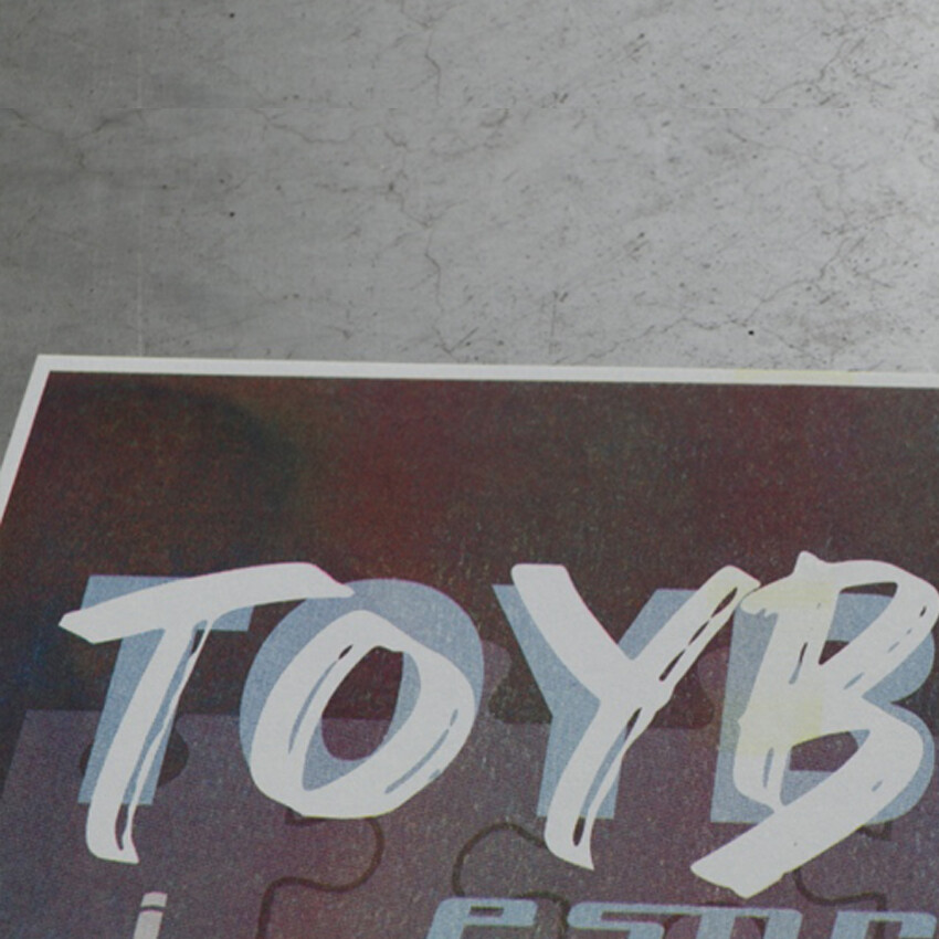Detail kay toybox espresso riso print