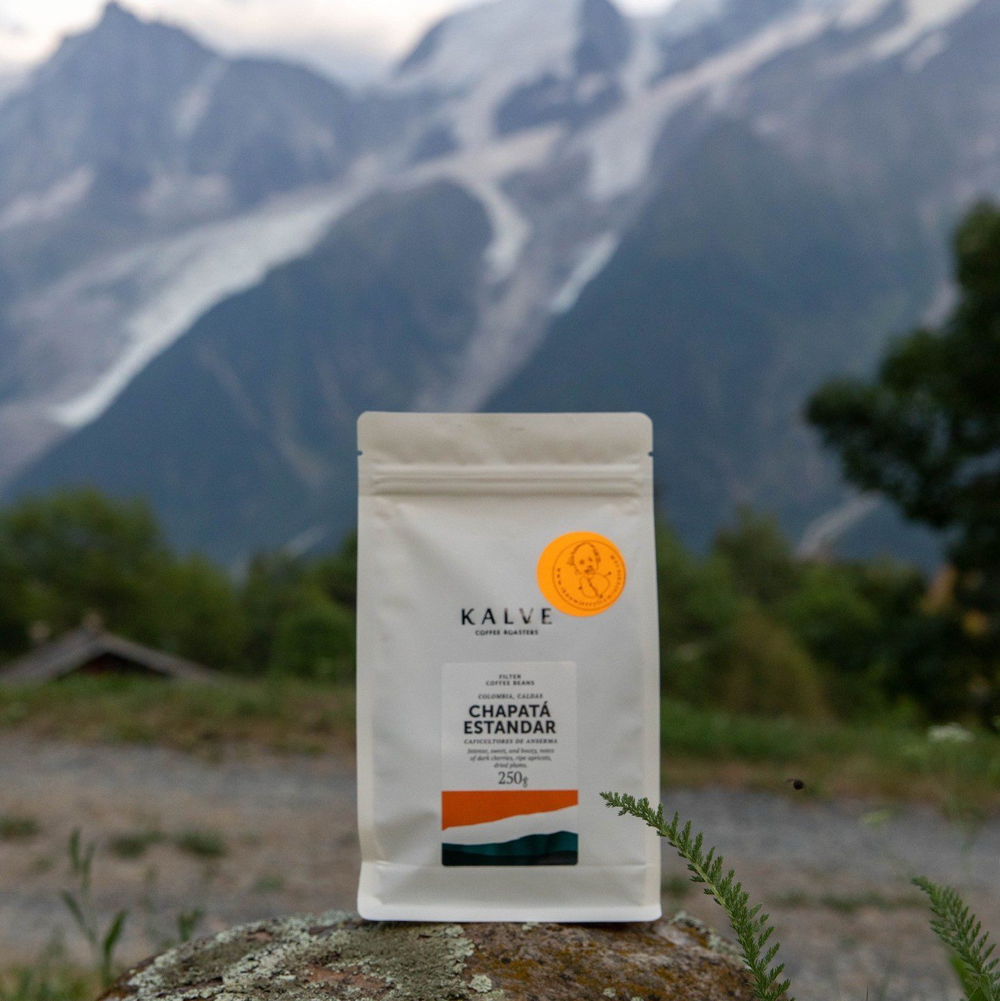 Bag of Kalve coffee beans