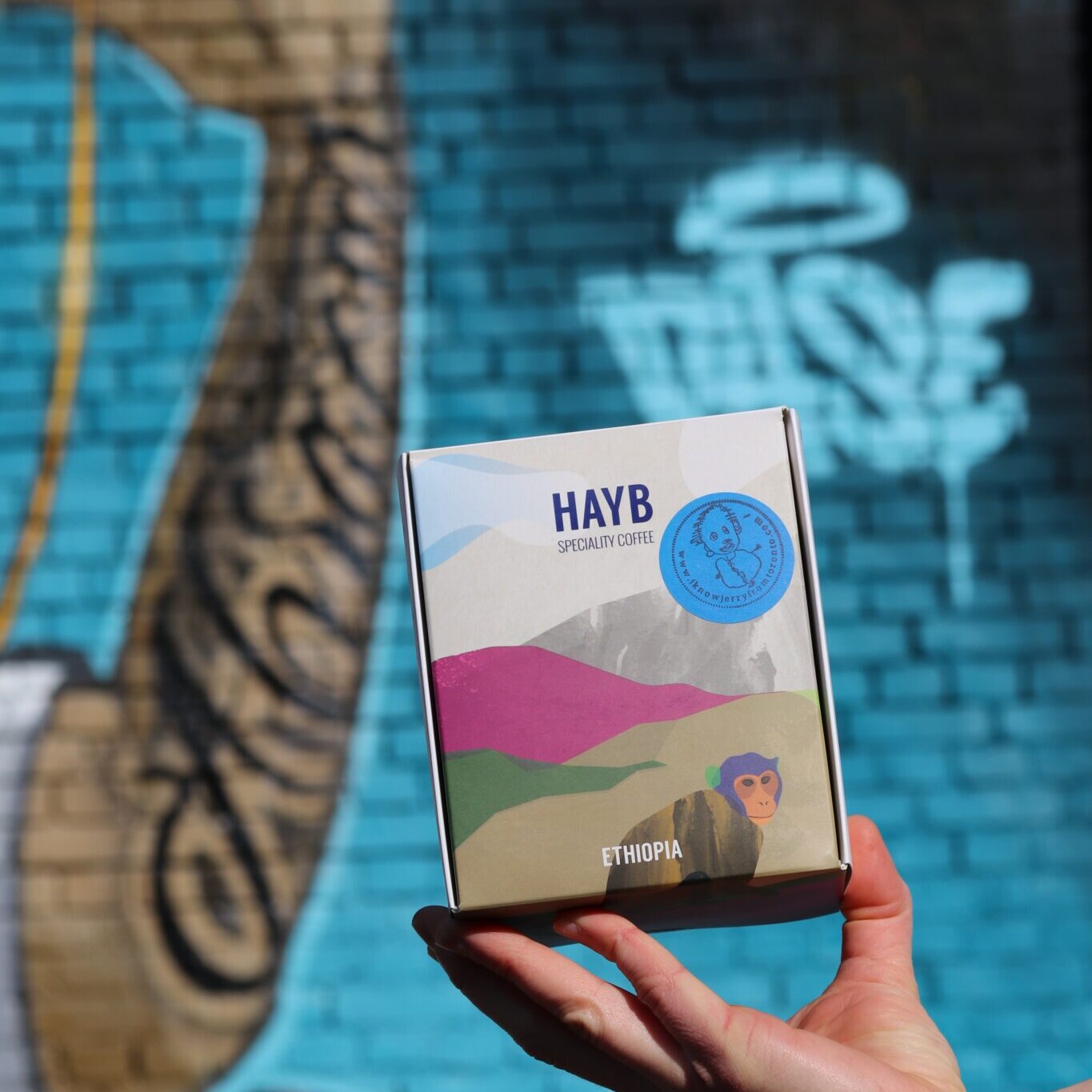 Box of Hayb coffee beans