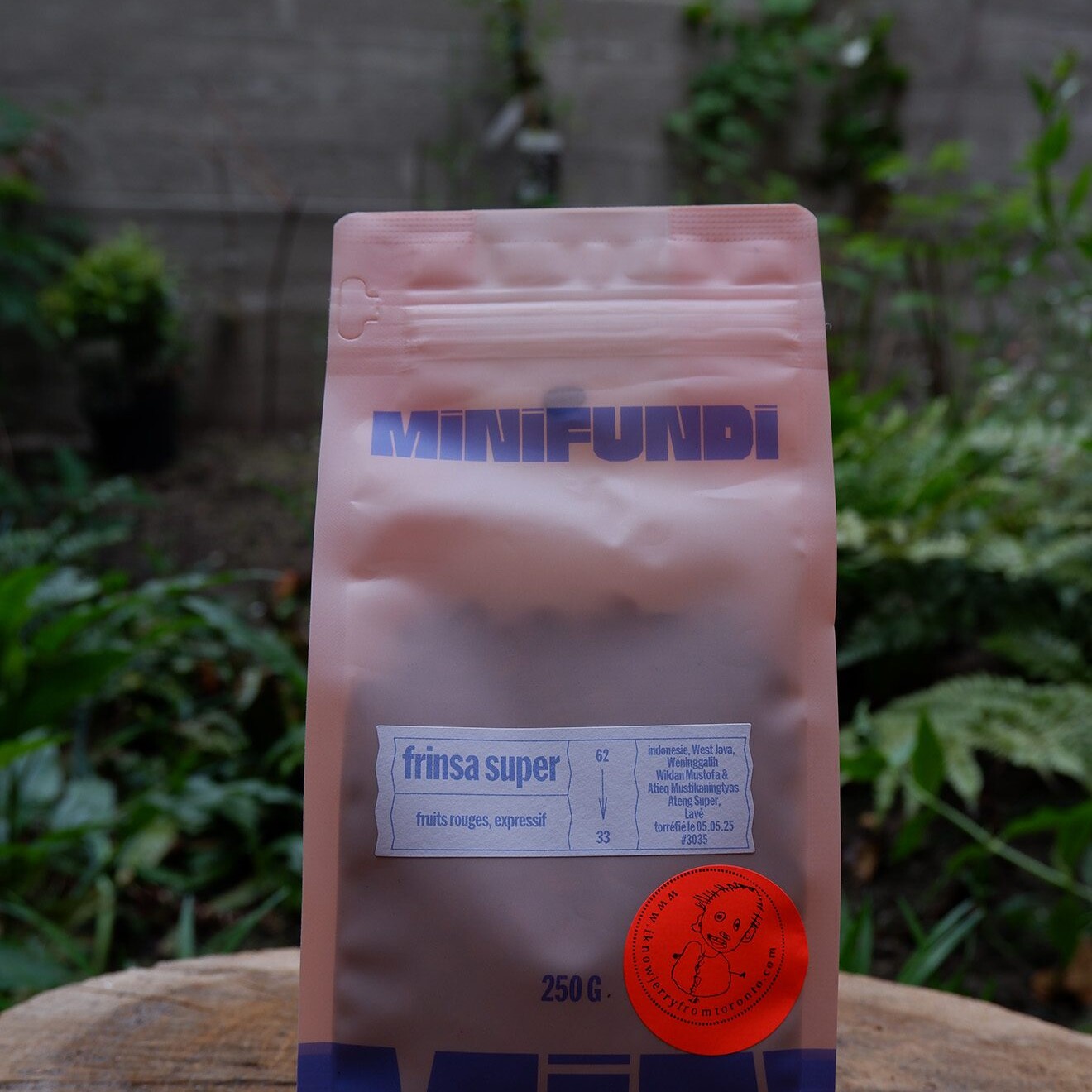 Bag of Minifundi coffee beans